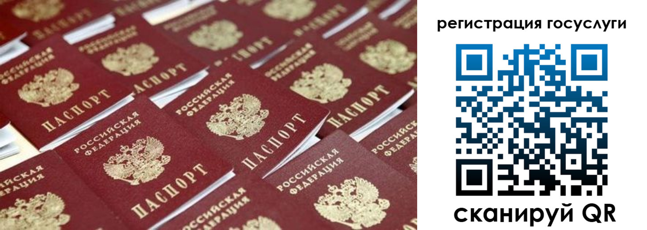 прописка ребенка в Бокситогорске